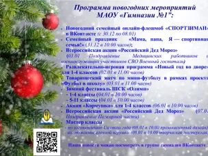 Новогодние каникулы